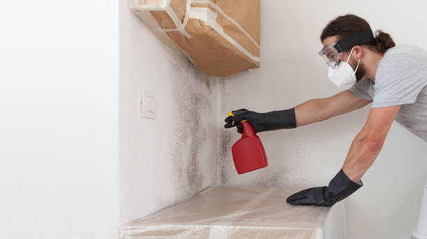 Professional Mold Removal technician working in Carversville, PA