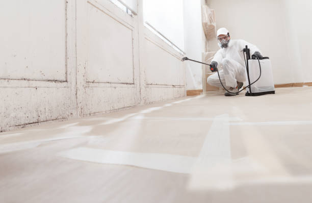 24/7 Emergency Mold Removal experts in Carversville, PA